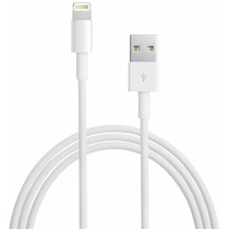 Câble Apple Lightning vers USB (0,50 m) - VRAC -