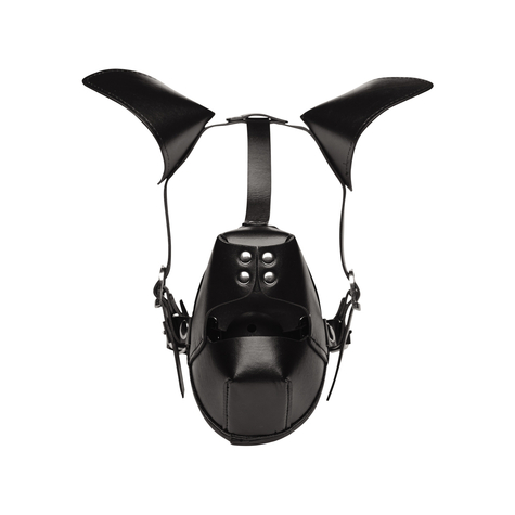 Masque : pup puppy play hood  breathable ball gag