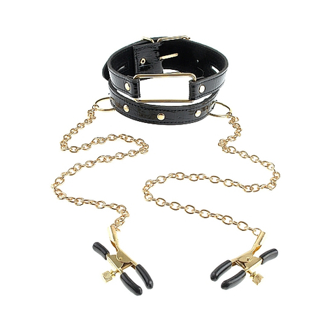 Collier et laisse : collar & nipple clamps gold
