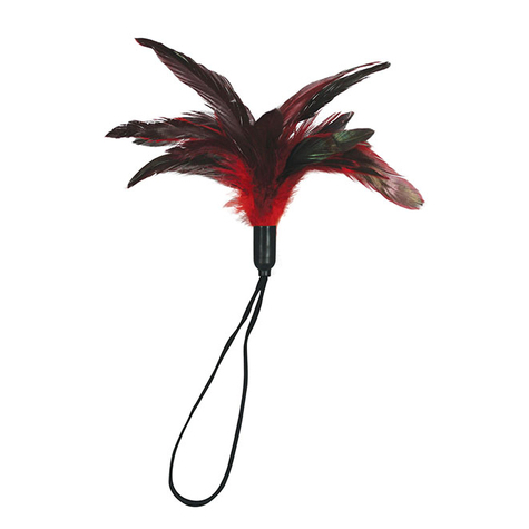 Plume : pleasure feather rouge 