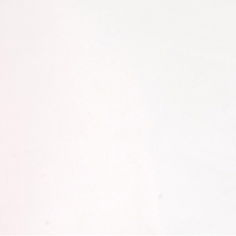 Tissu de fond yeux de faucon bcp-01 2x3 m blanc
