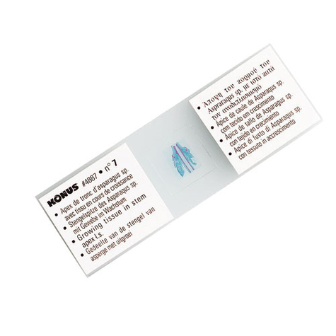 Kit de préparation konus tissu humain pathologique 1 (10 pièces)