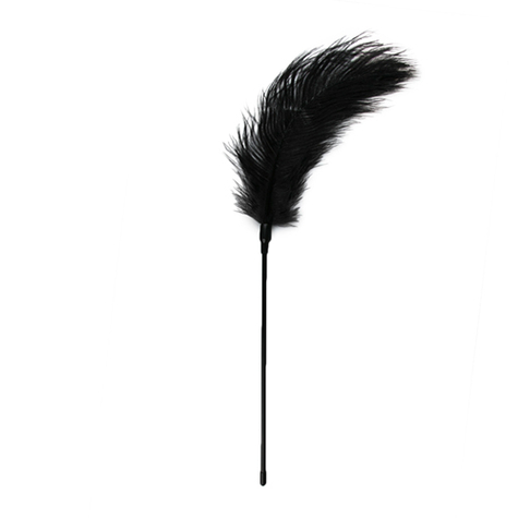 Bâillon gag : noir feather tickler