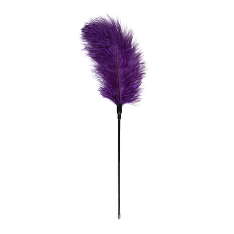 Bâillon gag : violet feather tickler