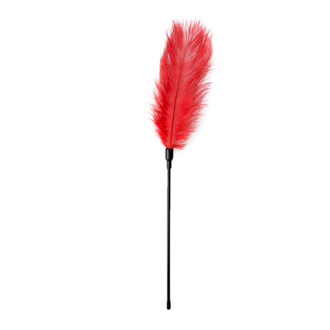 Bondage : rouge feather tickler