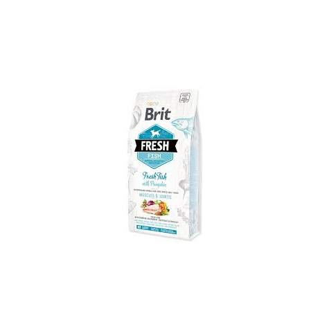 Brit fresh dog adulte large breed fish muscles &
