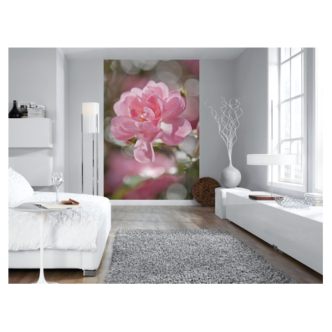 Photomurals  Photo Wallpaper - Bouquet - Size 184 X 254 Cm
