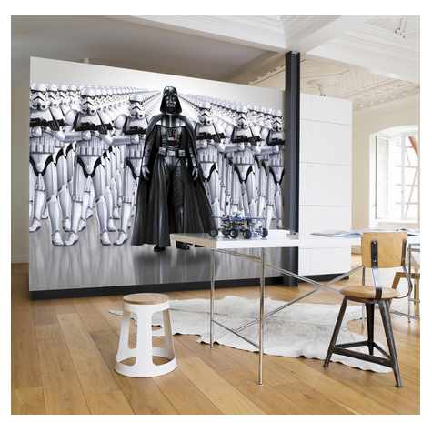 Papier peint photo - star wars imperial force - taille 368 x 254 cm