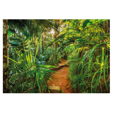 Papier peint photo - jungle trail - taille 368 x 254 cm