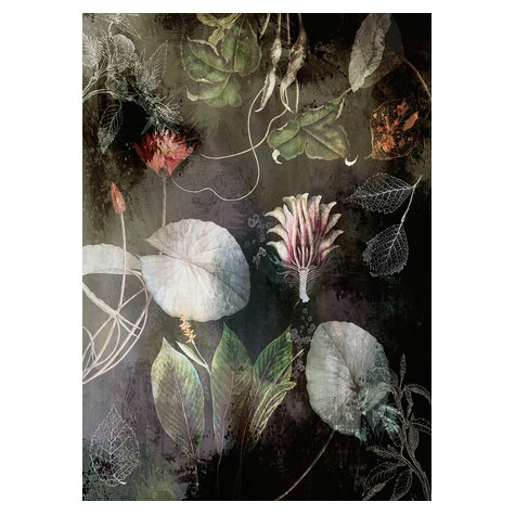 Papier peint photo - night flowers - dimensions 200 x 280 cm