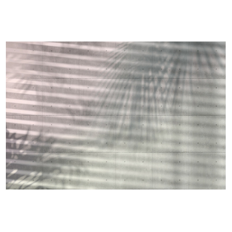 Papier peint photo - shadows - taille 368 x 248 cm