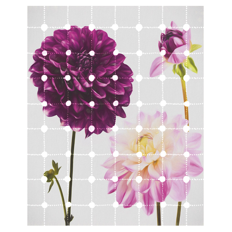 Papier peint photo - fleurs et points - dimensions 200 x 250 cm