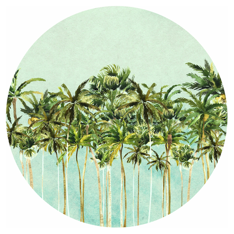 Papier peint photo mural auto-adhésif - coconut trees - taille 125 x 125 cm