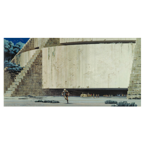 Papier peint photo - star wars classic rmq yavin temple - taille 500 x 250 cm