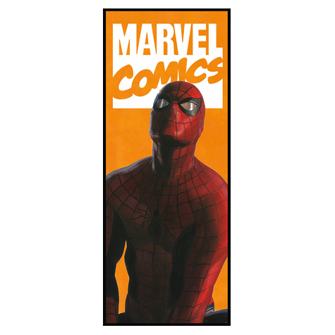 Papier peint photo - spider-man comic - taille 100 x 250 cm