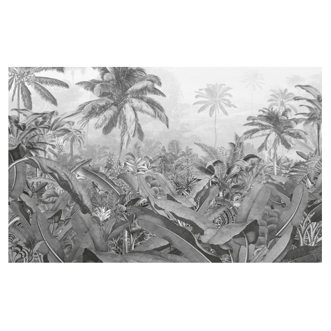 Papier peint photo - amazonia black and white - dimensions 400 x 250 cm