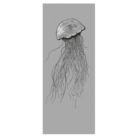 Papier peint photo - panneau jellyfish - taille 100 x 250 cm