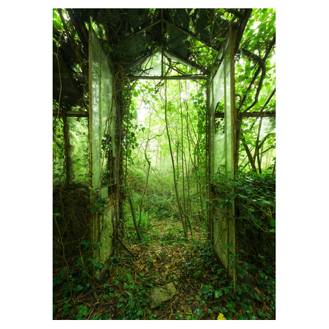 Papier peint photo - greenhouse - taille 200 x 280 cm