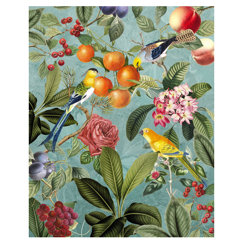 Papier peint photo - birds and berries - taille 200 x 250 cm
