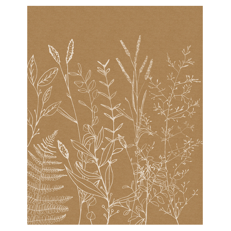 Papier peint photo - herbs garden - dimensions 200 x 250 cm