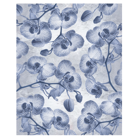 Non-Woven Wallpaper - Orchidée - Size 200 X 250 Cm