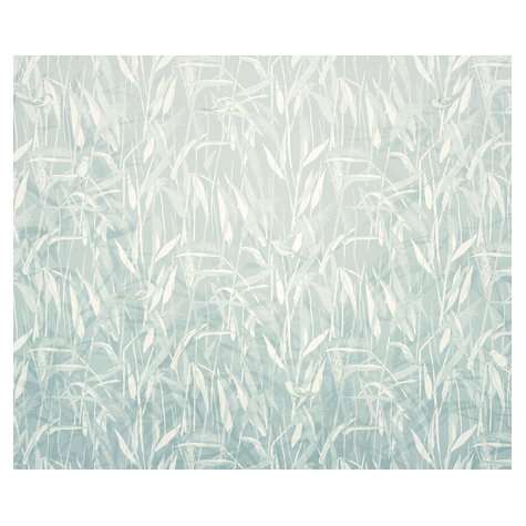 Non-Woven Wallpaper - Reed - Size 300 X 250 Cm