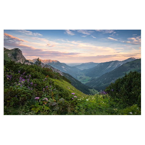 Papier peint photo - parc naturel des hautes alpes de l'allgäu - dimensions 450 x 280 cm