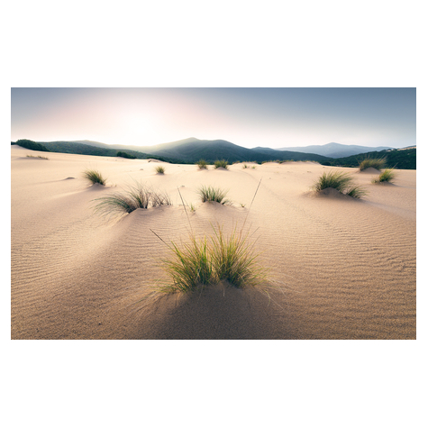Papier peint photo - vivid dunes - taille 450 x 280 cm