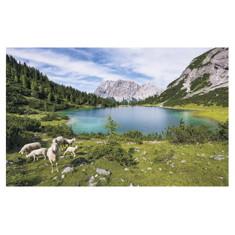 Papier peint photo - paradise lake - dimensions 400 x 250 cm