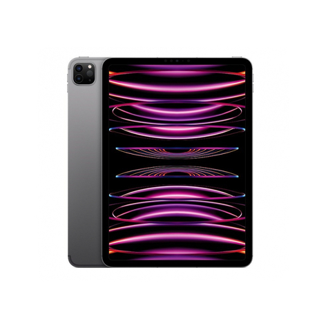 Apple ipad pro 128gb 11 wi-fi space gray 4e génération mnxd3fd/a