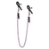 Pinces a seines : chain nipple clamps violet