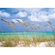 Papier peint photo - ocean breeze - taille 368 x 254 cm