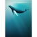 Papier peint photo - artsy humpback whale - taille 200 x 280 cm