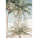 Papier peint photo - palm oasis - dimensions 200 x 280 cm