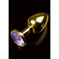 Plug anal : jewellery small gold baby violet